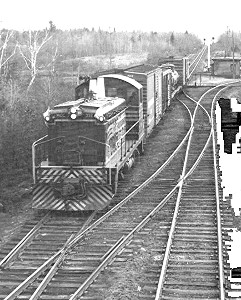 Black and White Photo of a train